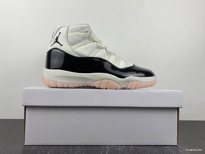 Neapolitan AR0715-101 Jordan Air 11 WMNS 1203